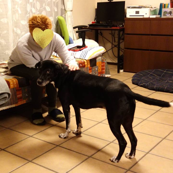 C6a027fc c2da 400e ba5c 4f1a6be7b0e9 1732099709787