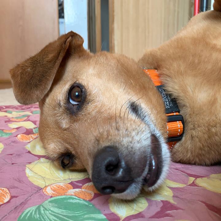 C6a02e77 5b80 408d 8f13 407dc91632a4 1563362799192