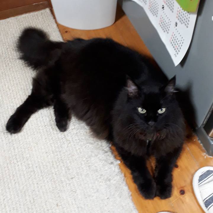 C6a03a35 7bf7 45ca b7ef 054d7abf9a29 1534502159584