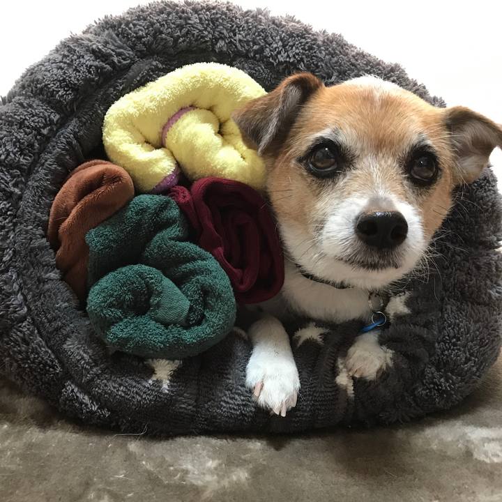 C6a0490c cbce 4e97 9594 66a01f6e268d 1580724004967