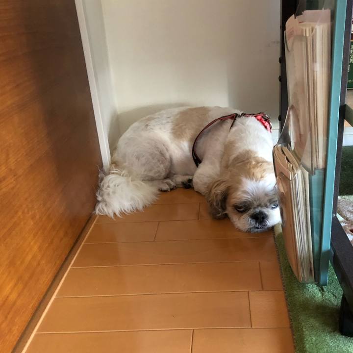 C6a0aebc 0320 4458 8814 b6af009555ab 1592696688429