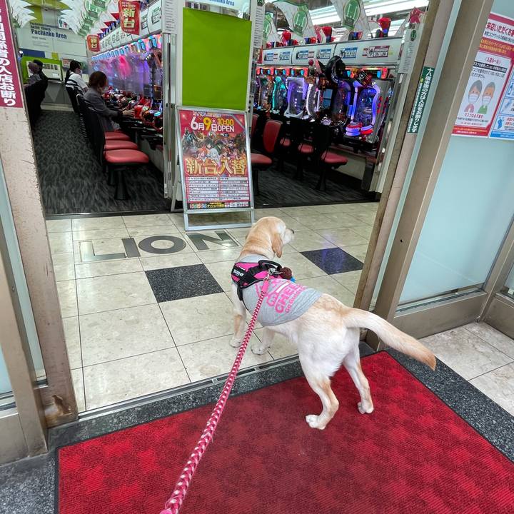 C6a0b926 10d8 41c8 a0f9 b1379cc8ce68 1623036494467