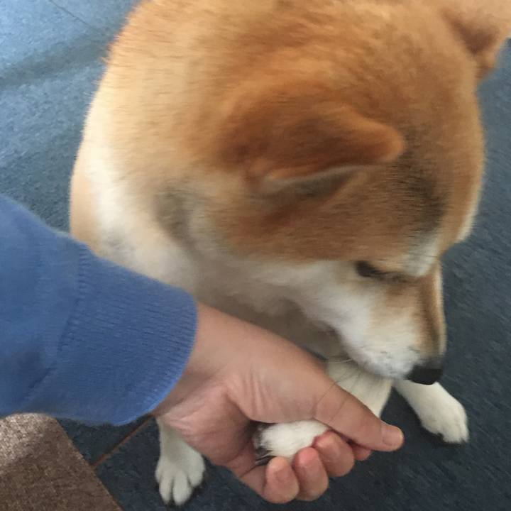 C6a0d0ec 873a 4722 8d31 18bfe641535d 1571450686553