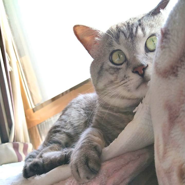 C6a0d0f3 e6f9 418d 9836 72e8f3aebfc2 1581471006644