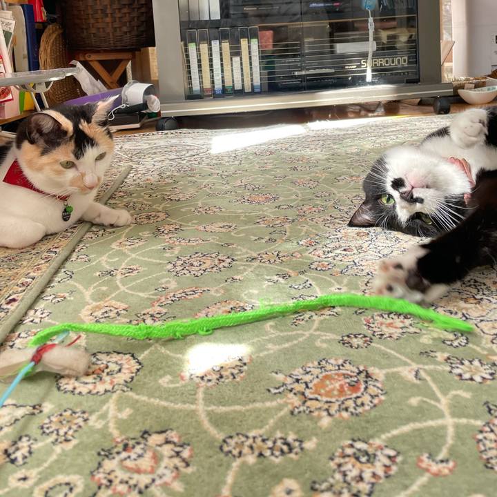 C6a0f7d0 5d8e 4432 9bcf 9eb072d5be57 1714778011614