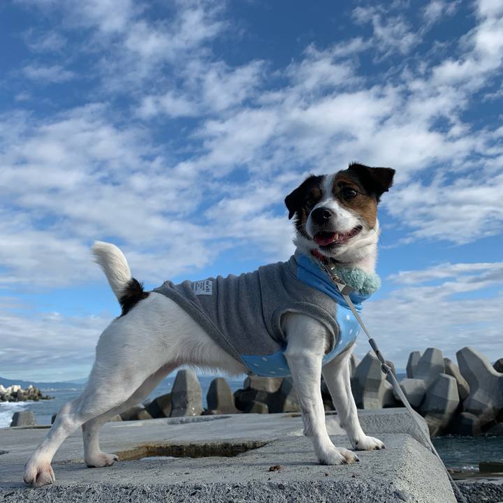 C6a12e3a 0a84 4a82 a3ac 2abd9b0c6a55 1577504193347