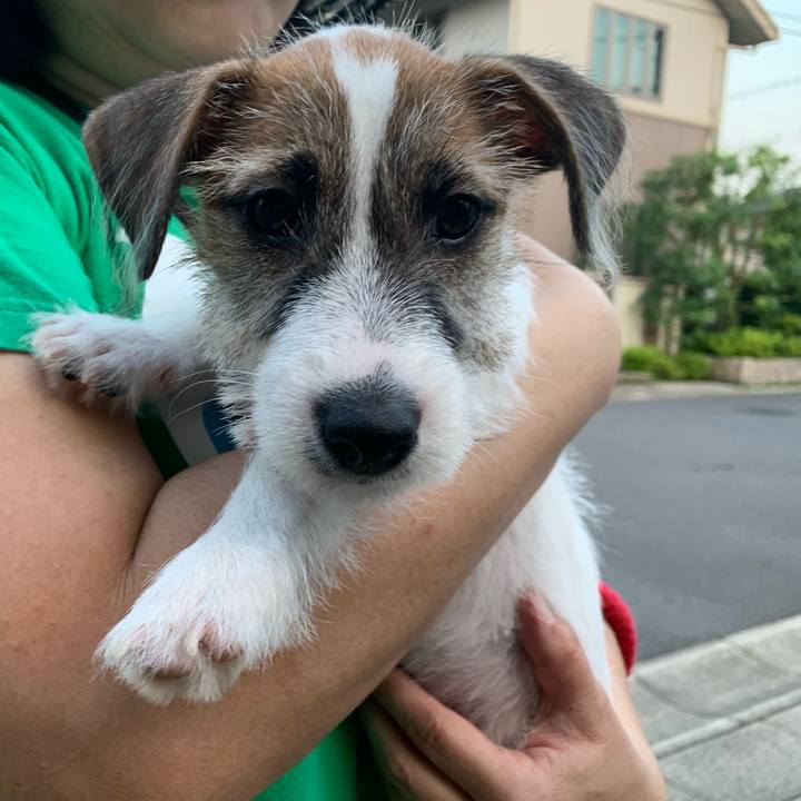 C6a133bf ba1b 4f3c 83db 39475b9fbdc8 1560938567719