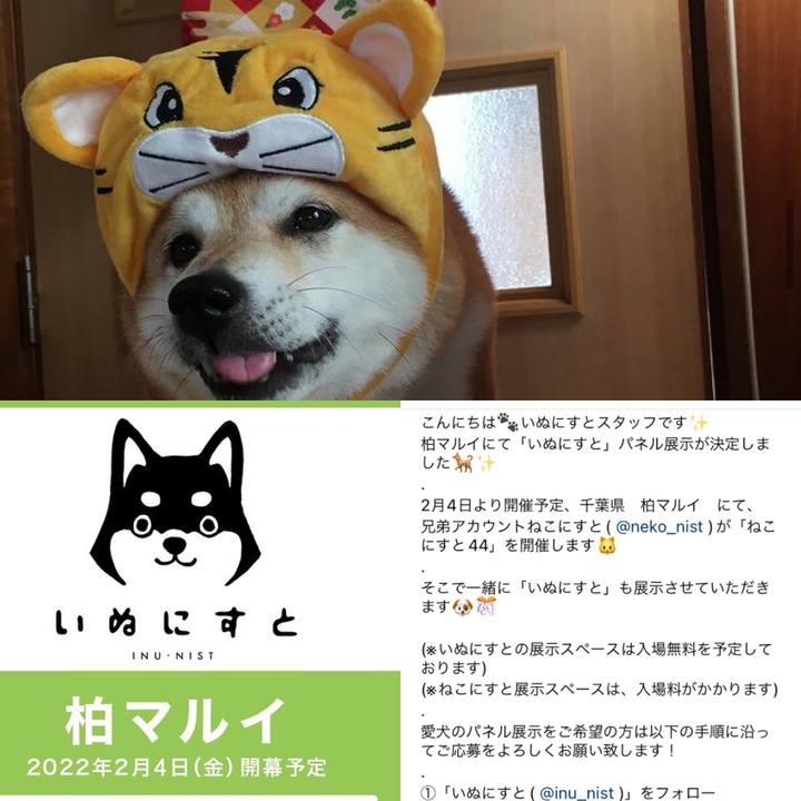 C6a1438a 420c 4929 bbd0 39dcc813e827 1643266574435