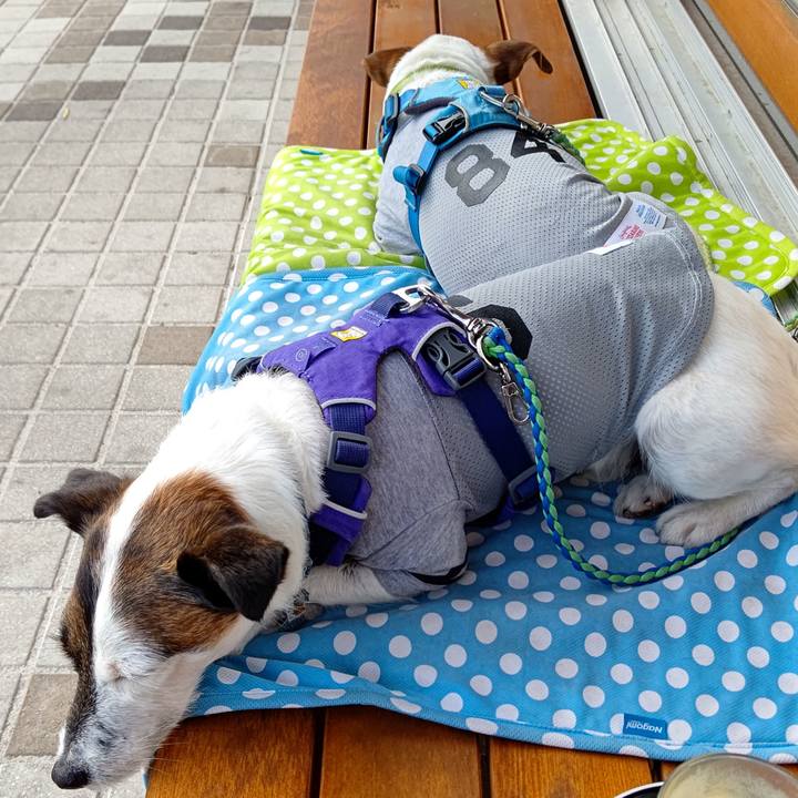 C6a1a6c0 b909 46f3 b78c d830ded7553d 1619859433799