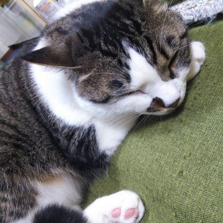 C6a1afcc f12f 4df0 9c95 8bae97a5d6aa 1654731137947