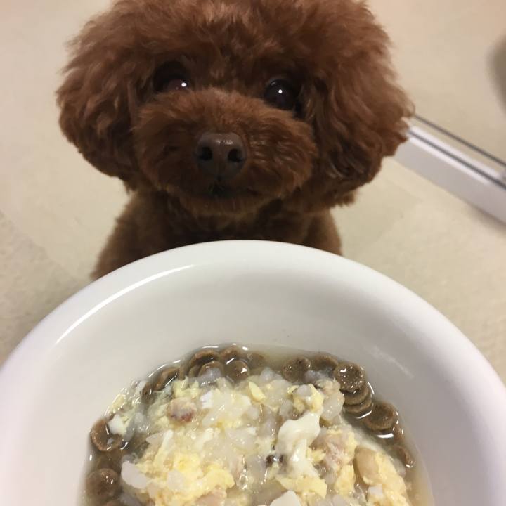 C6a1f855 4bb9 4919 aa0d eb6f5f9051ab 1530094497516