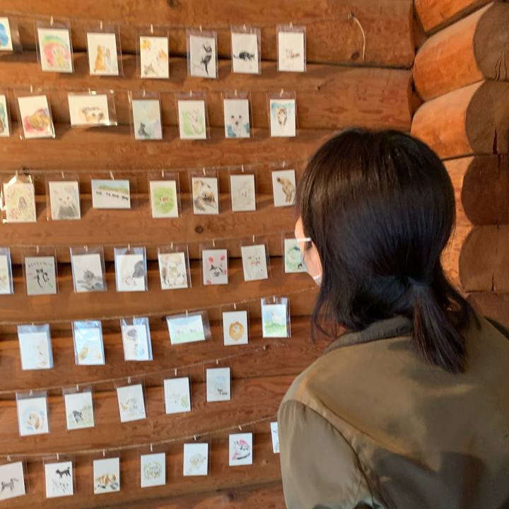 C6a206dc 8a79 4769 b1bc 3eb06ab8c3e5 1620633269404