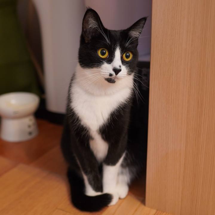 C6a215a6 b7bc 4aef b79e 482bf5c5e32c 1637157987130