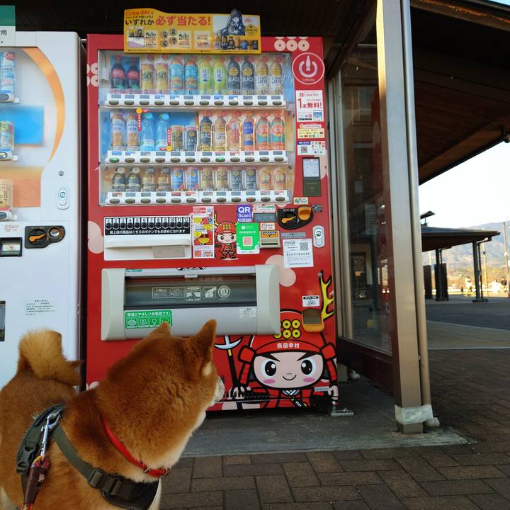 C6a22d2e ffc4 4f3f baf1 fc591c7f071a 1767095770390