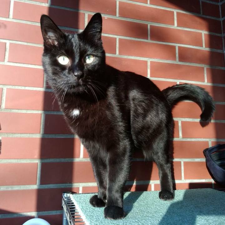 C6a23467 aa3a 4db7 aa35 ec7e63c47291 1616157146874