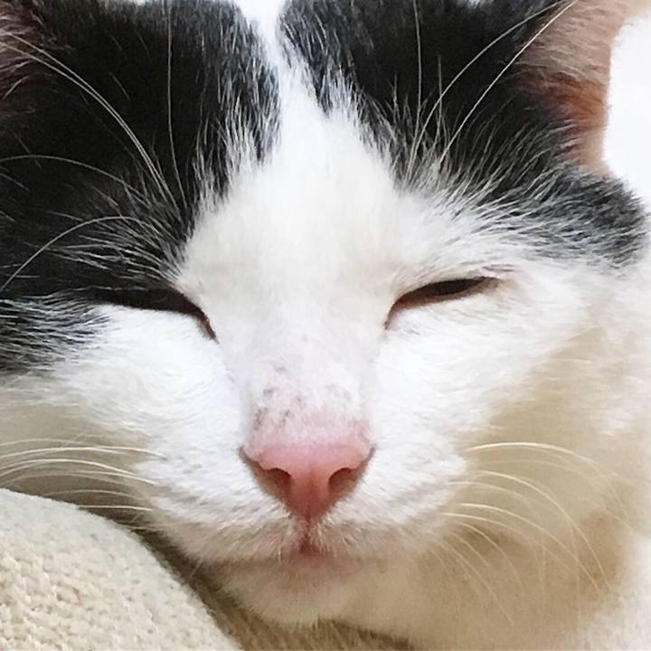 C6a2415d cef5 43c7 ad19 325947b9a515 1549193366313