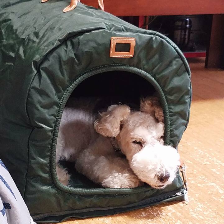 C6a2418d 8aef 46e0 a7ab a2a8d1b44fb5 1557271423972