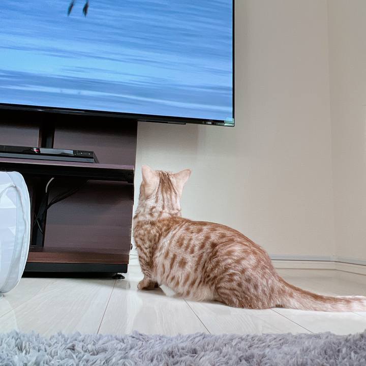 C6a26383 86e5 4b67 9305 ab0224a7d5aa 1656802165188