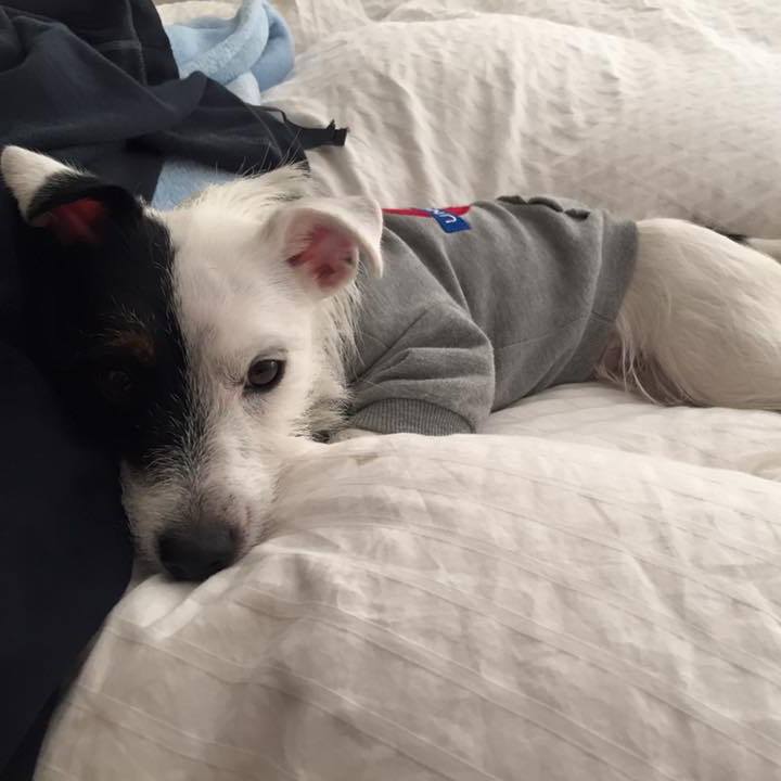 C6a26d01 ab4f 492f a15d d17a582f46a8 1575415767299