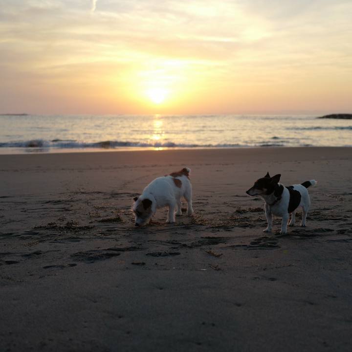 C6a2e047 69b2 45ab beaf e2e9d49e948f 1520144513878