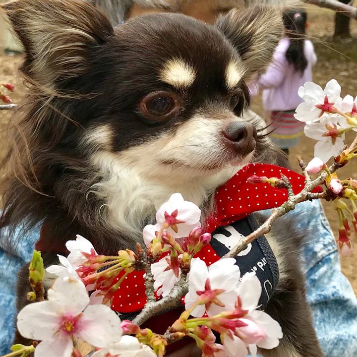 C6a2f9b8 a5be 4f71 bb3f 4a58d9481fb8 1554183067731