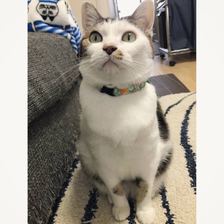 C6a31a3b 6a32 469f 8d29 52d8ad15f8a5 1557553590968