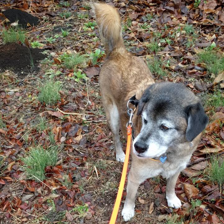 C6a34995 da32 421f a8aa a7631bc07ee9 1551398508961