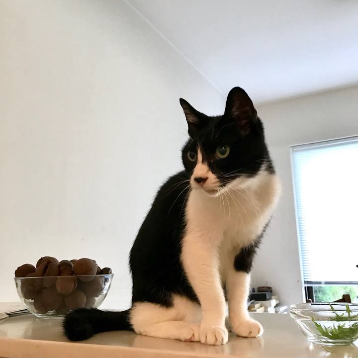 C6a365ee faab 4b6d 9376 6c1bb7cadcf0 1510205801803