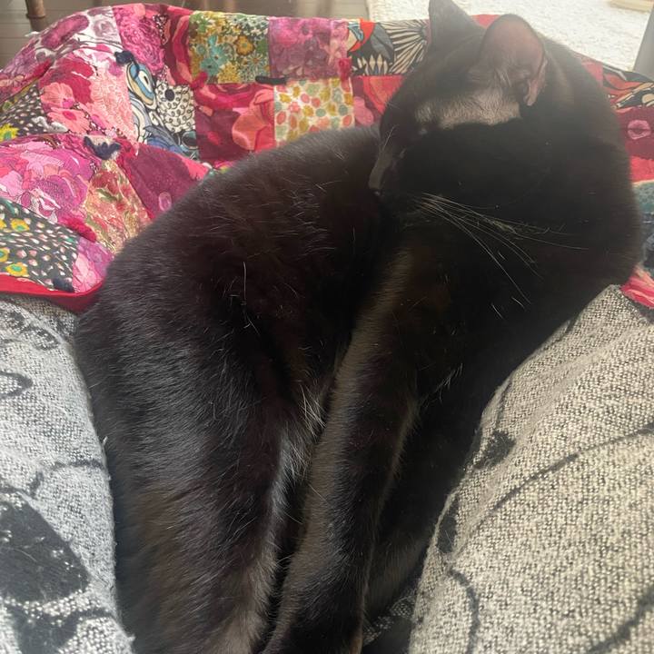 C6a3722c 6cac 4fc0 a47d 97e43ea3a330 1769476183104