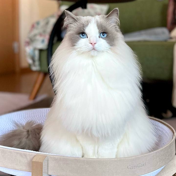 C6a37e64 c7fd 450e b1cc 7c4b1a8d4503 1758620674307