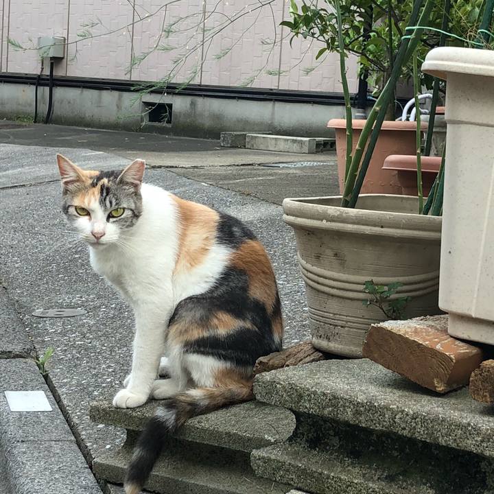 C6a38dfa 2a81 44c9 94b0 3fedb759b5da 1535656956963