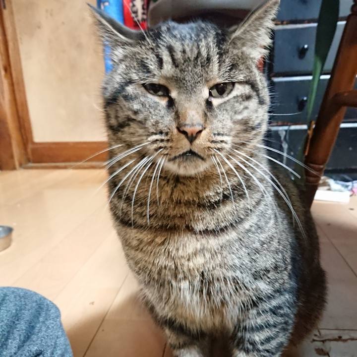 C6a3c703 bf66 4ae1 8a49 6e0424e4b133 1639995355241