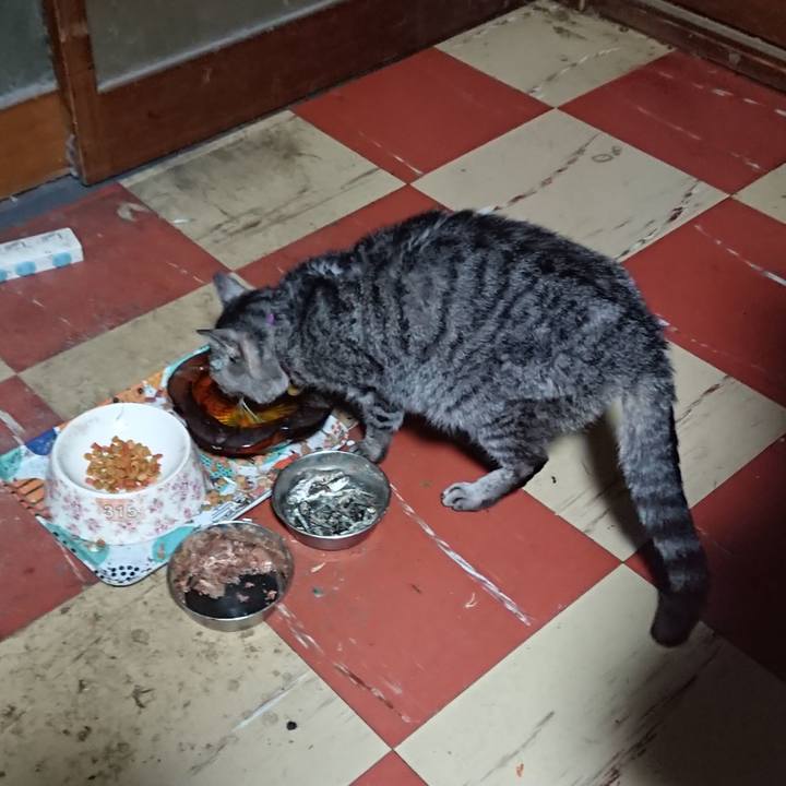 C6a3ea09 aa11 4fc0 aa84 163114edb6dc 1585084835438