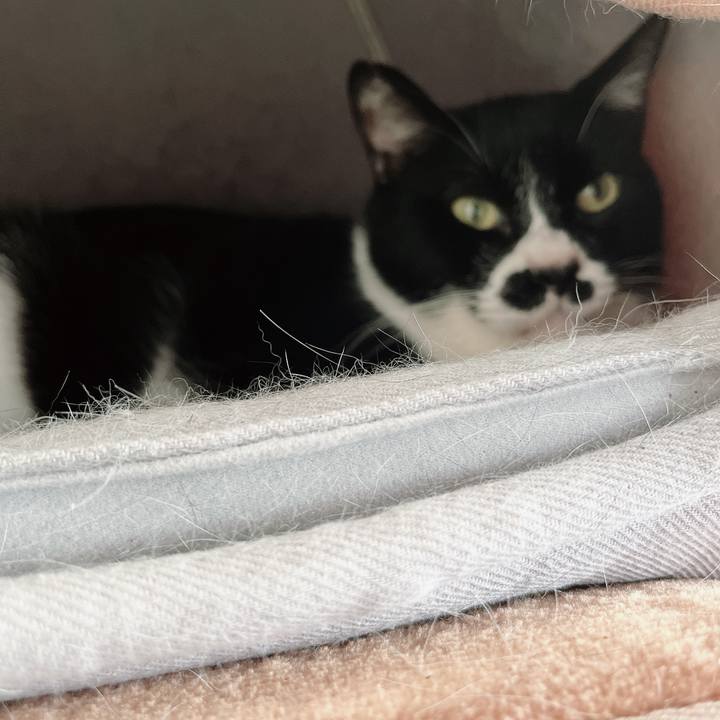 C6a41b5c 1f71 4aea b9df 771c543e2e90 1676116224043