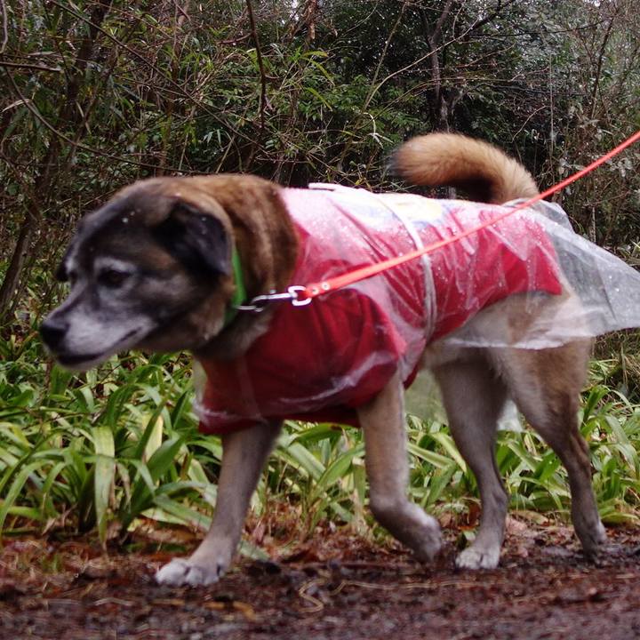 C6a46036 cc14 4f09 bcfe 06e03612e015 1631668971124