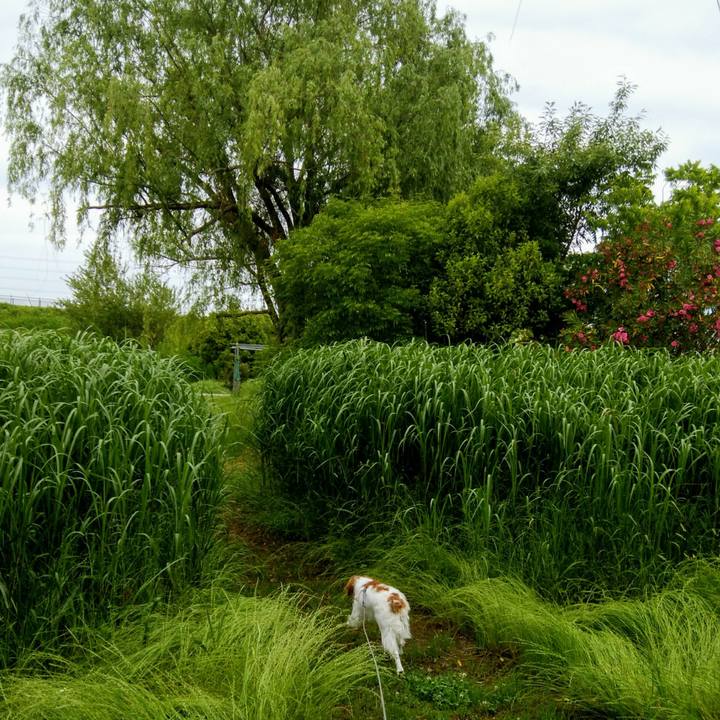 C6a4670d 40fa 484c a453 19c5a538953b 1559088370202