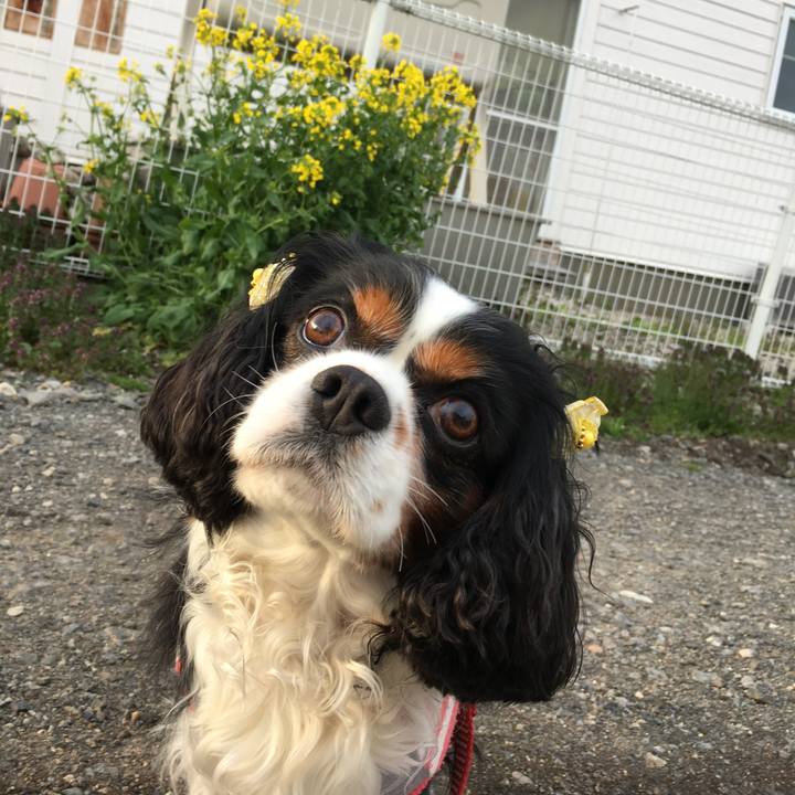 C6a4995e 0462 4655 826a a77d6df2a7c8 1524822167873