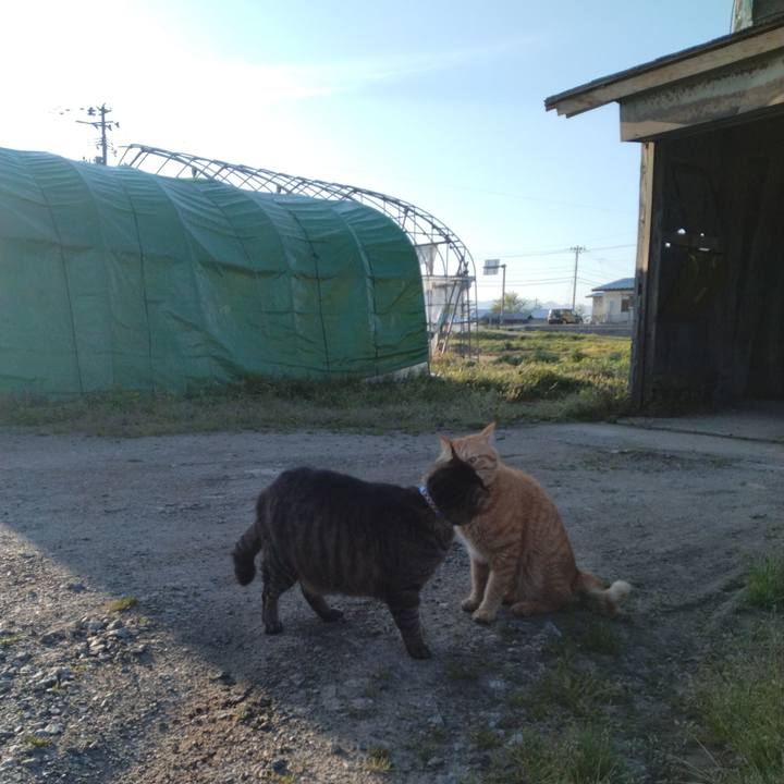 C6a49a3b d4b8 4de3 99c2 83df291c5cc4 1683067054923