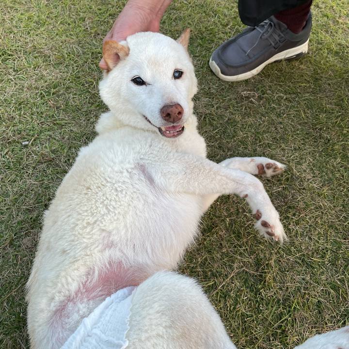 C6a49b6b a050 48a8 903f 880249caf789 1668072538276