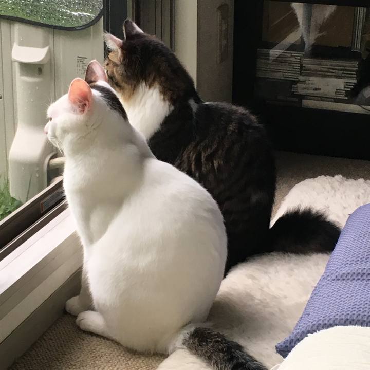 C6a4ae04 bf5e 401b 91d8 376ae61d95a1 1691811567227