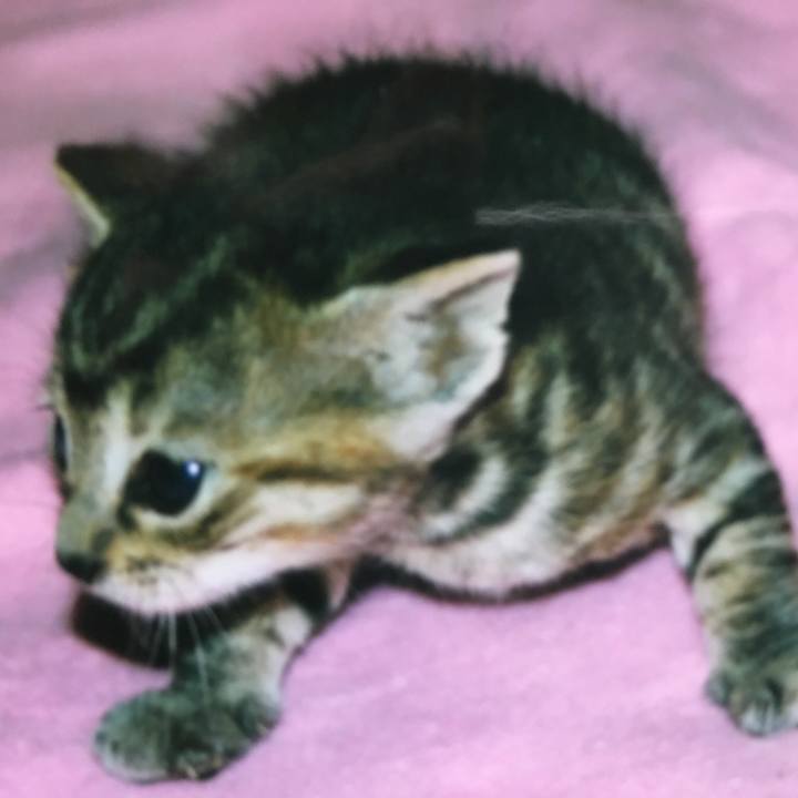 C6a4f1e5 b19e 4dcf 998e 2c972c67314a 1524387602455