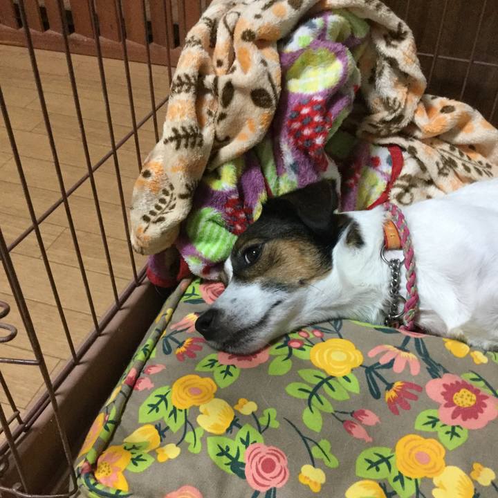 C6a52522 e9fb 432a b71f dd96654f2d51 1536667141069