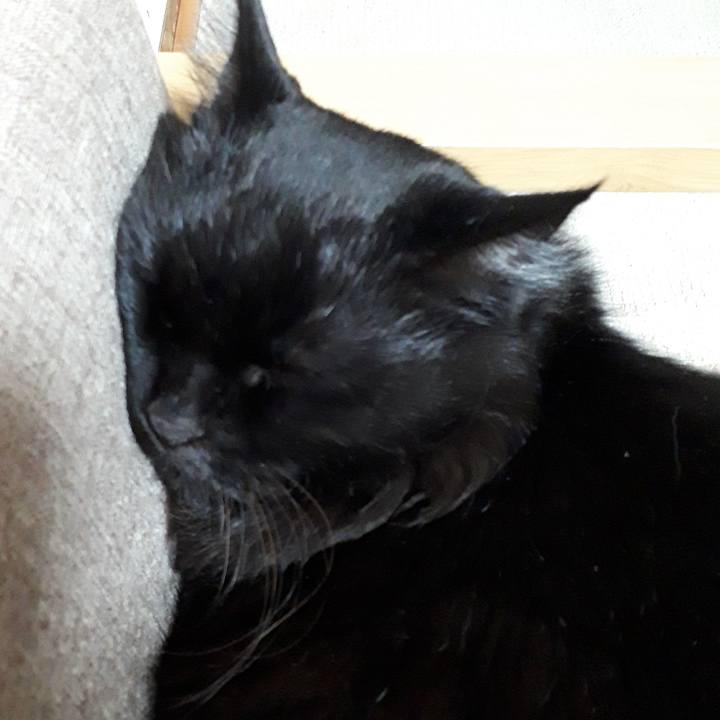 C6a55599 48c5 4bc9 8514 d9894f08f6a1 1517827942065