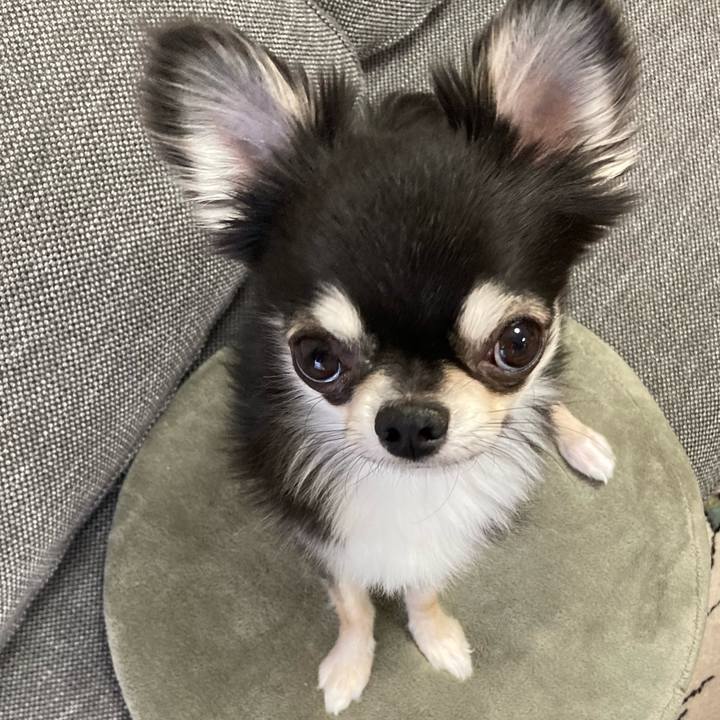 C6a5a97d aac4 426c 9db4 6ce955994039 1619844006020