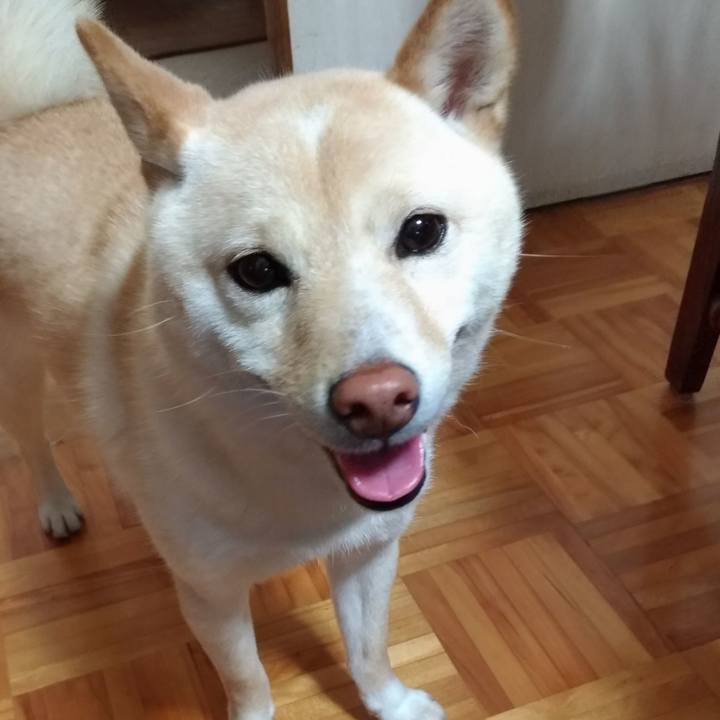 C6a5cfd1 6225 42f2 b392 8ac7c0c60fa4 1560807812068