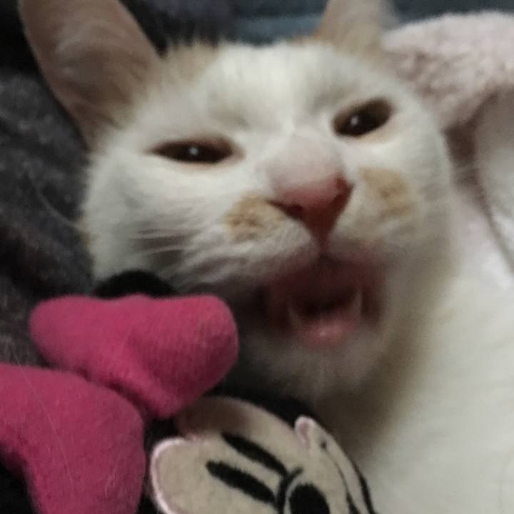 C6a5eec1 6df6 4fc4 b81d 676bdc067a13 1541287834627