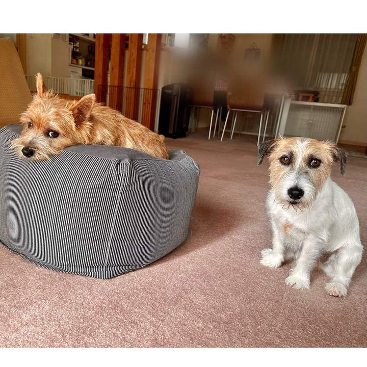 C6a60a77 7039 4a5d 8371 9ceef8a6d450 1721042356354