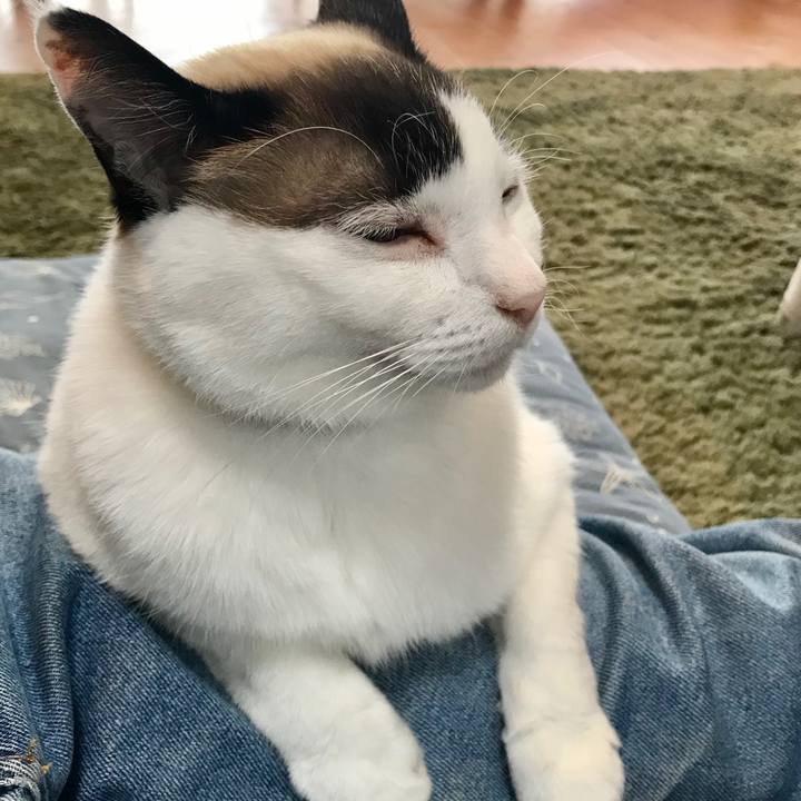 C6a619f3 2bb2 4826 8c5a 7d0077ef569e 1586868013063