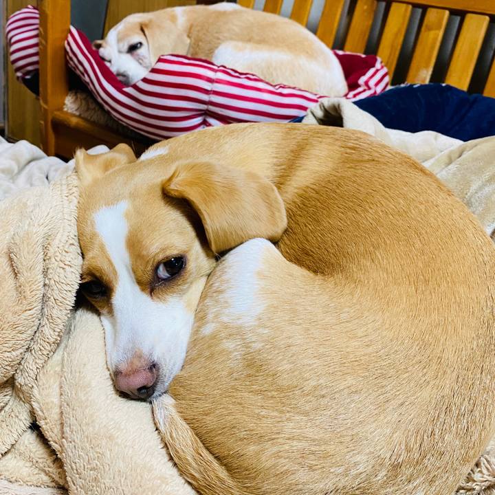 C6a637b5 ee06 4e42 8573 f36a9aad862f 1588375292144