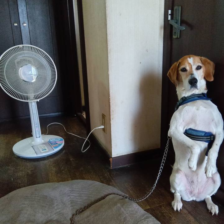 C6a64960 8f1c 4e2e 914a ed776bc0fe96 1747825577173